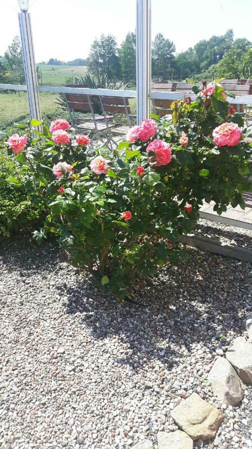 Heu-Ferienhof Altkamp Putbus Ngoại thất bức ảnh